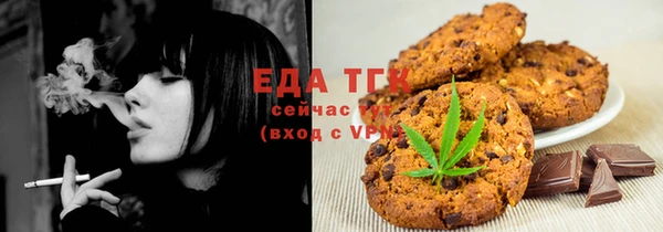 индика Заводоуковск