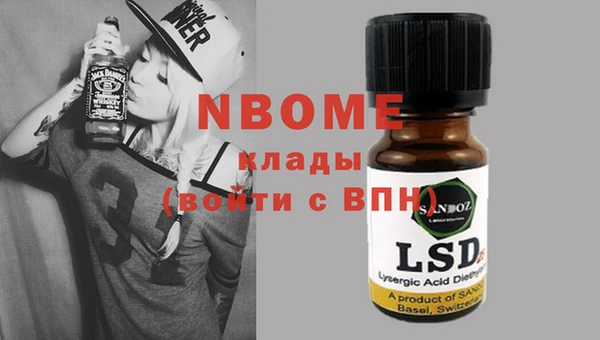индика Заводоуковск