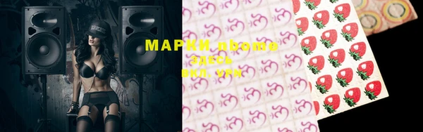 индика Заводоуковск