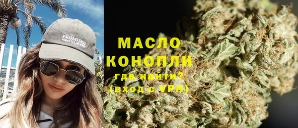 индика Заводоуковск
