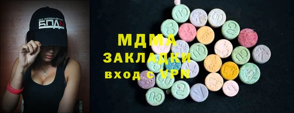 индика Заводоуковск