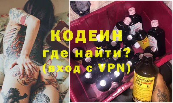 индика Заводоуковск