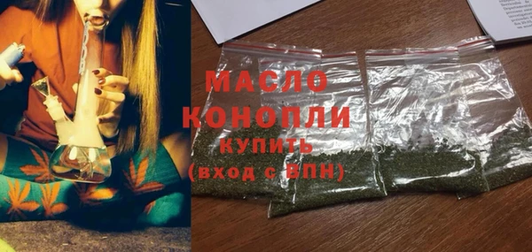индика Заводоуковск