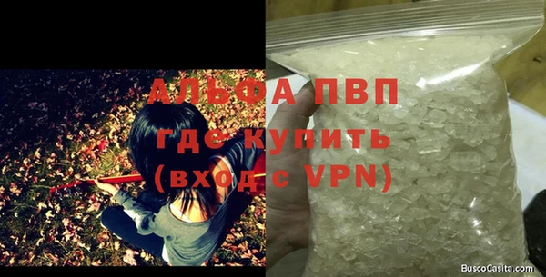 индика Заводоуковск