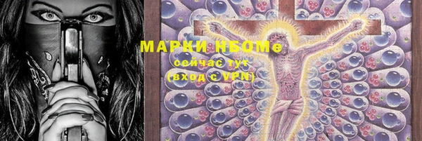 индика Заводоуковск