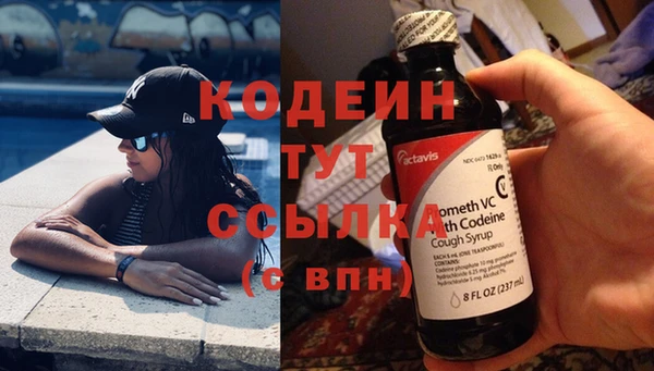 индика Заводоуковск