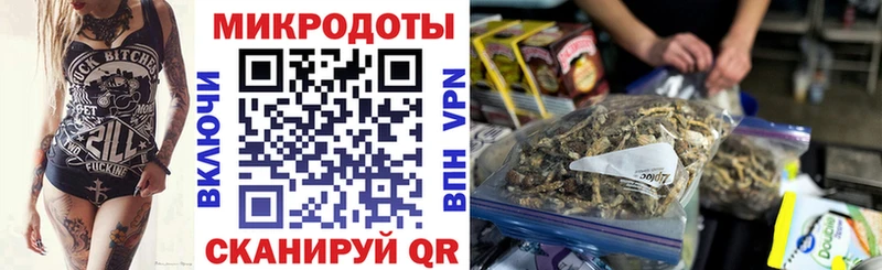 Купить где  Коркино  Галлюциногенные грибы Cubensis 